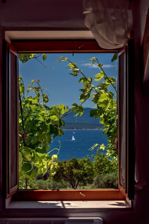 Holiday Home Vineyard House Bol Dış mekan fotoğraf