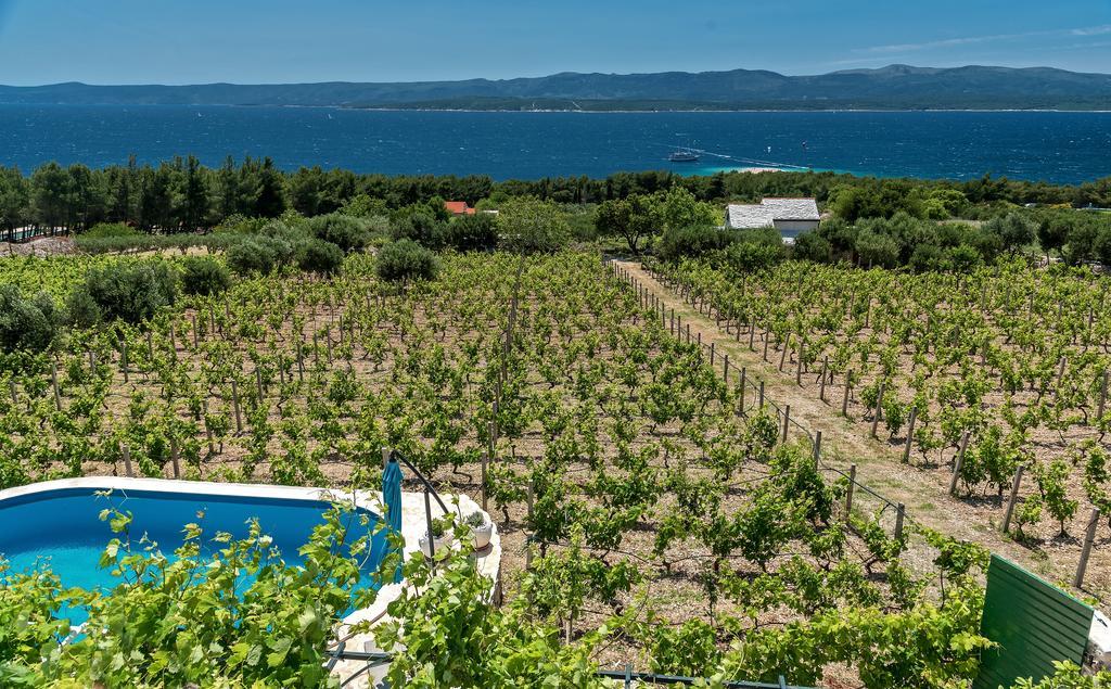 Holiday Home Vineyard House Bol Dış mekan fotoğraf