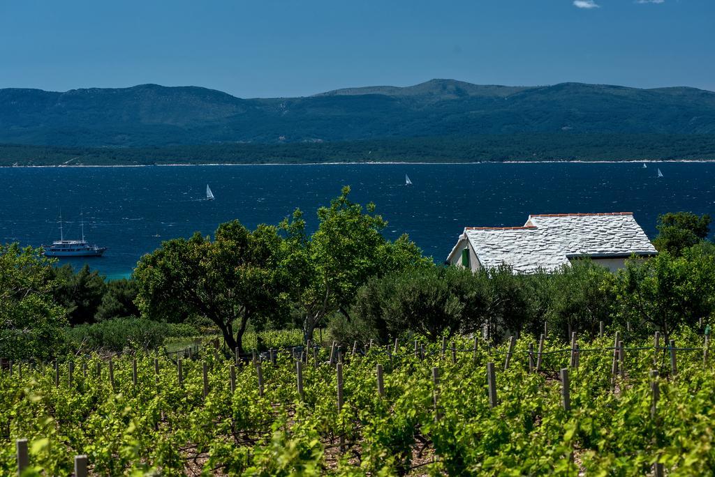 Holiday Home Vineyard House Bol Dış mekan fotoğraf