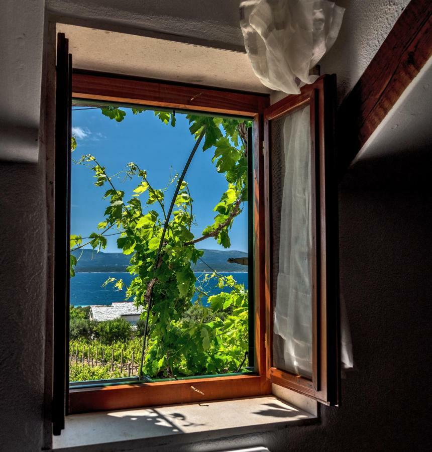 Holiday Home Vineyard House Bol Dış mekan fotoğraf